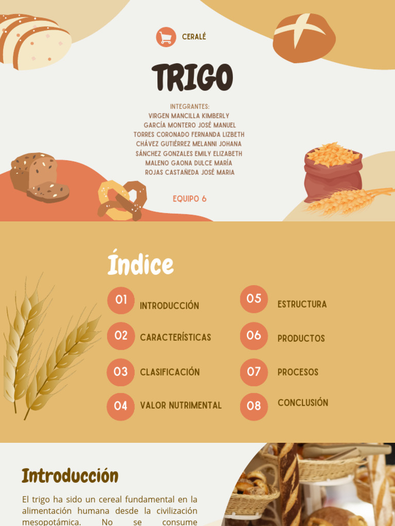 Características y Valor del Trigo | PDF | Trigo | Harina