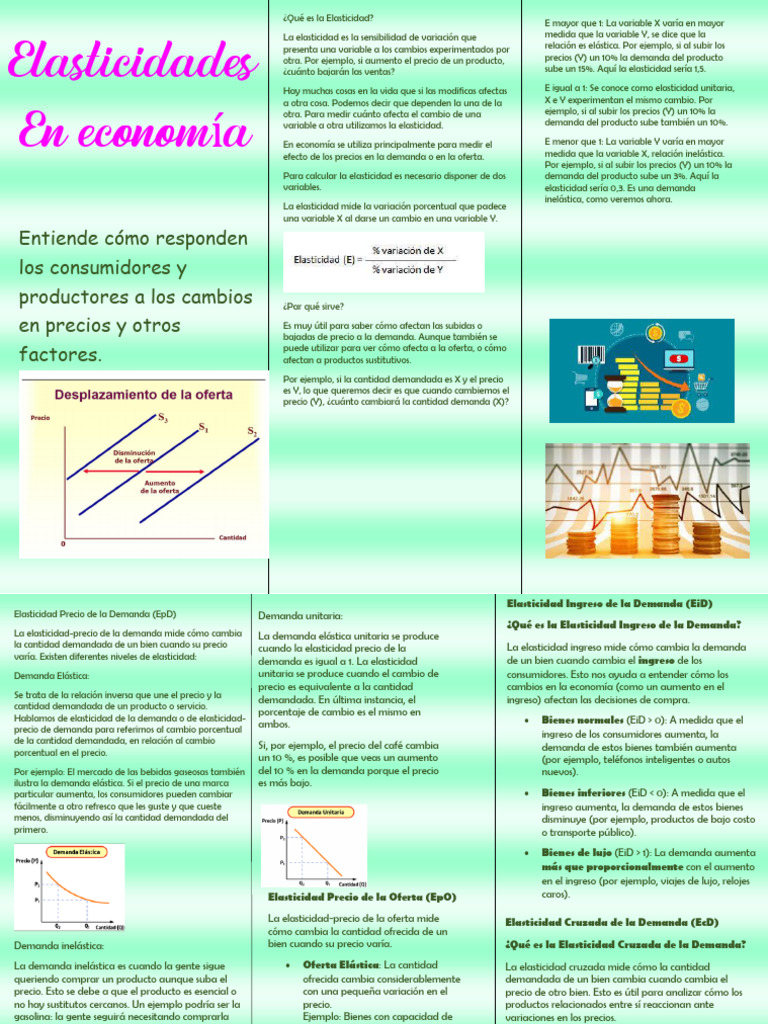 Elasticidades en Econom A | PDF | Elasticidad (economía) | Oferta y demanda