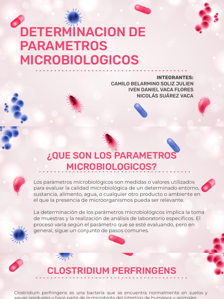 Parámetros Microbiológicos en Agua | PDF | Pseudomonas | Pseudomonas ...