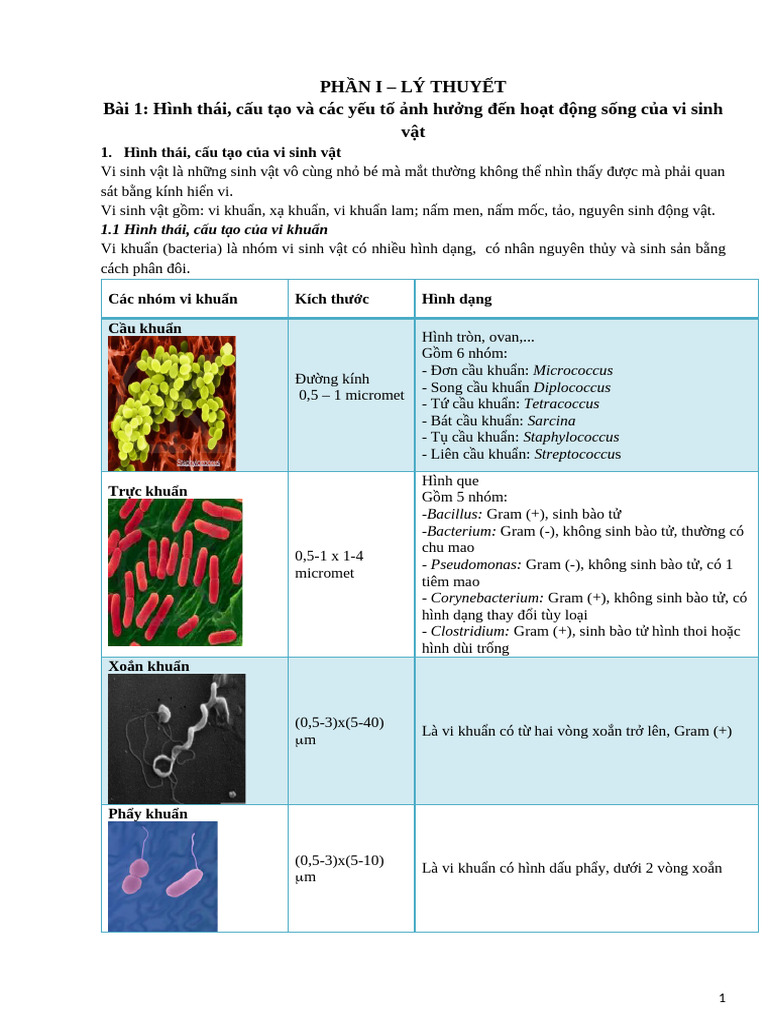 Vi Sinh Thực Phẩm | PDF