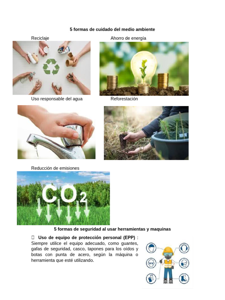 5 Formas de Cuidado Del Medio Ambiente | PDF