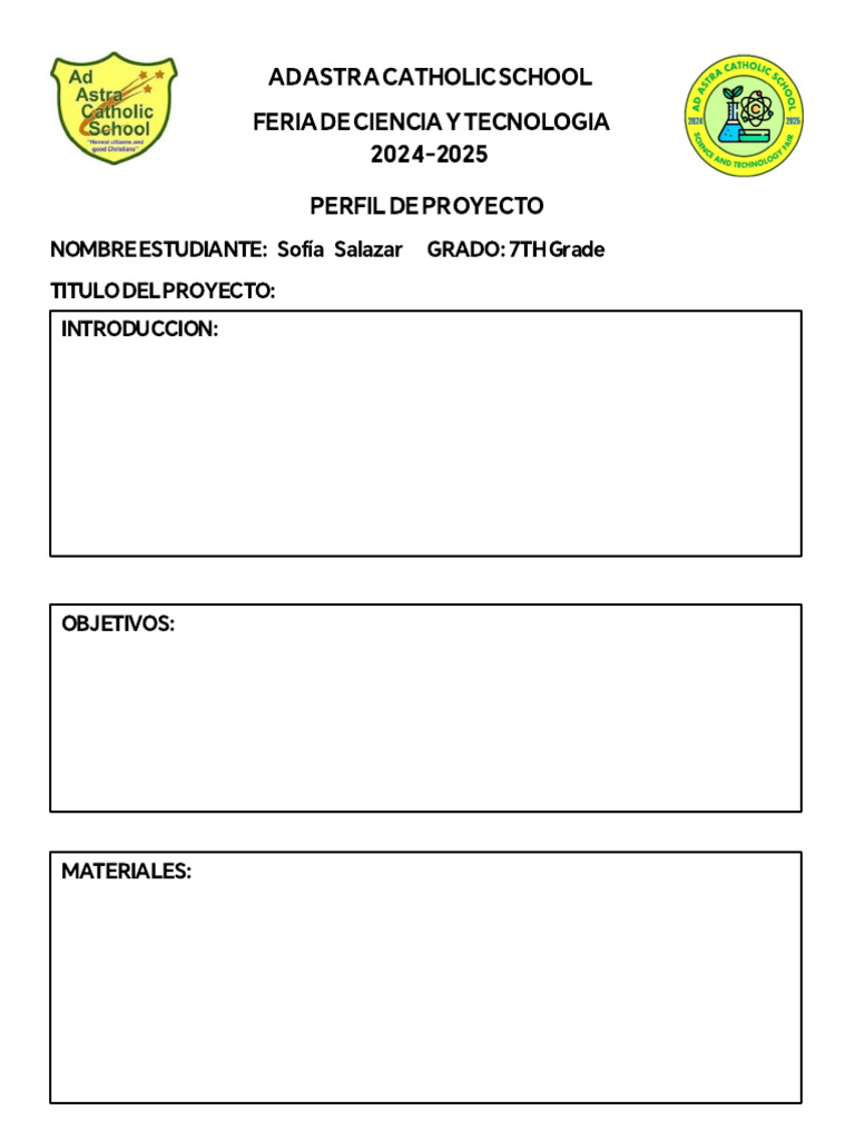 Formato Perfil de Proyecto y Ejemplo | PDF