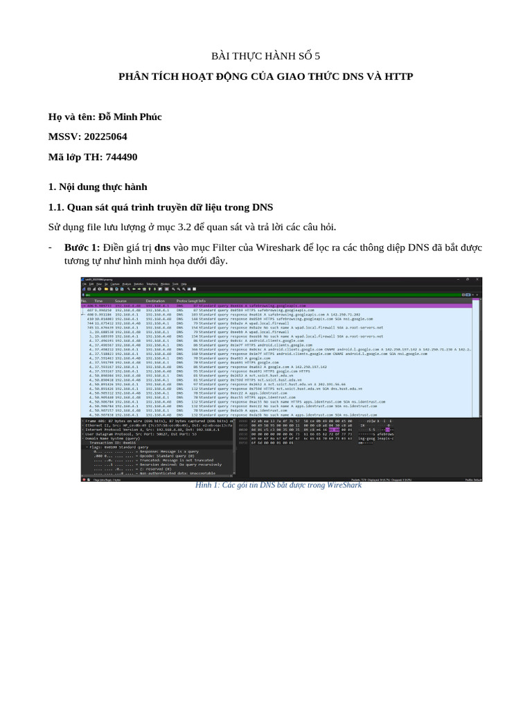Báo Cáo MMT HUST Lab05 | PDF