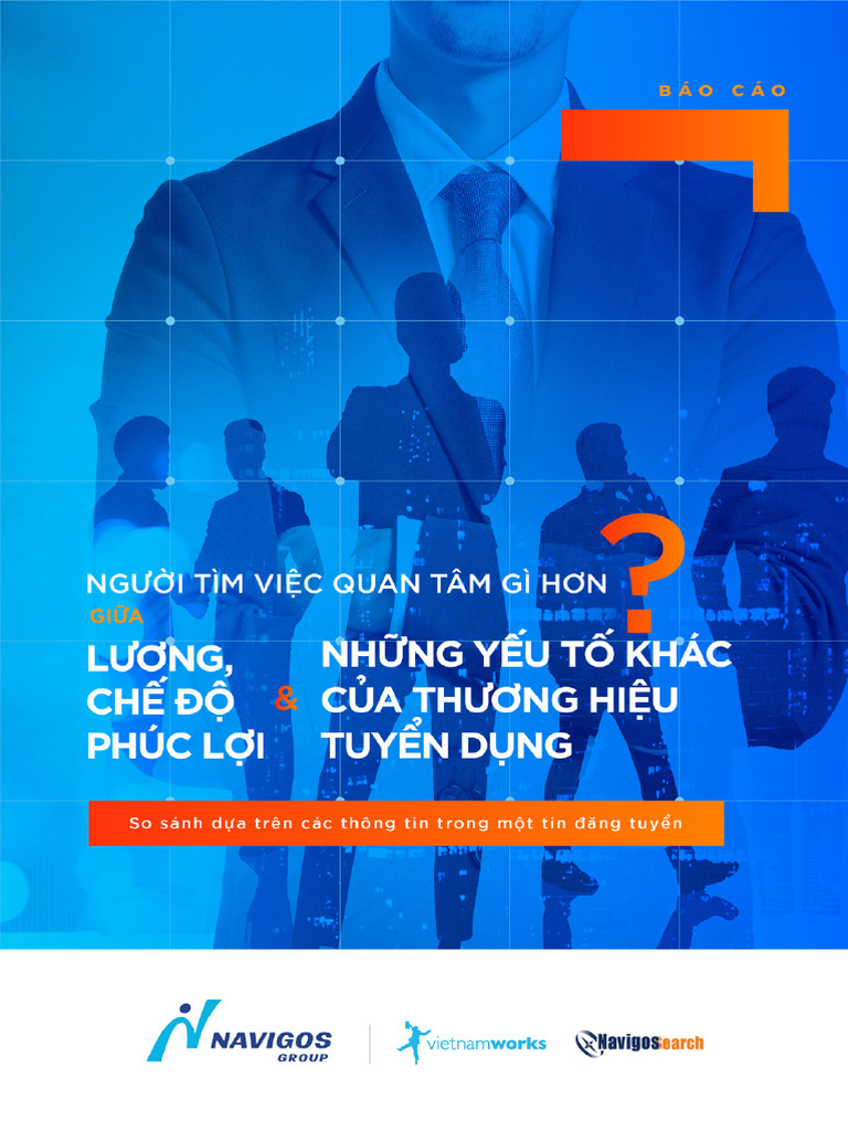 VNW - Brand Benefit Report 2021 - VI | PDF
