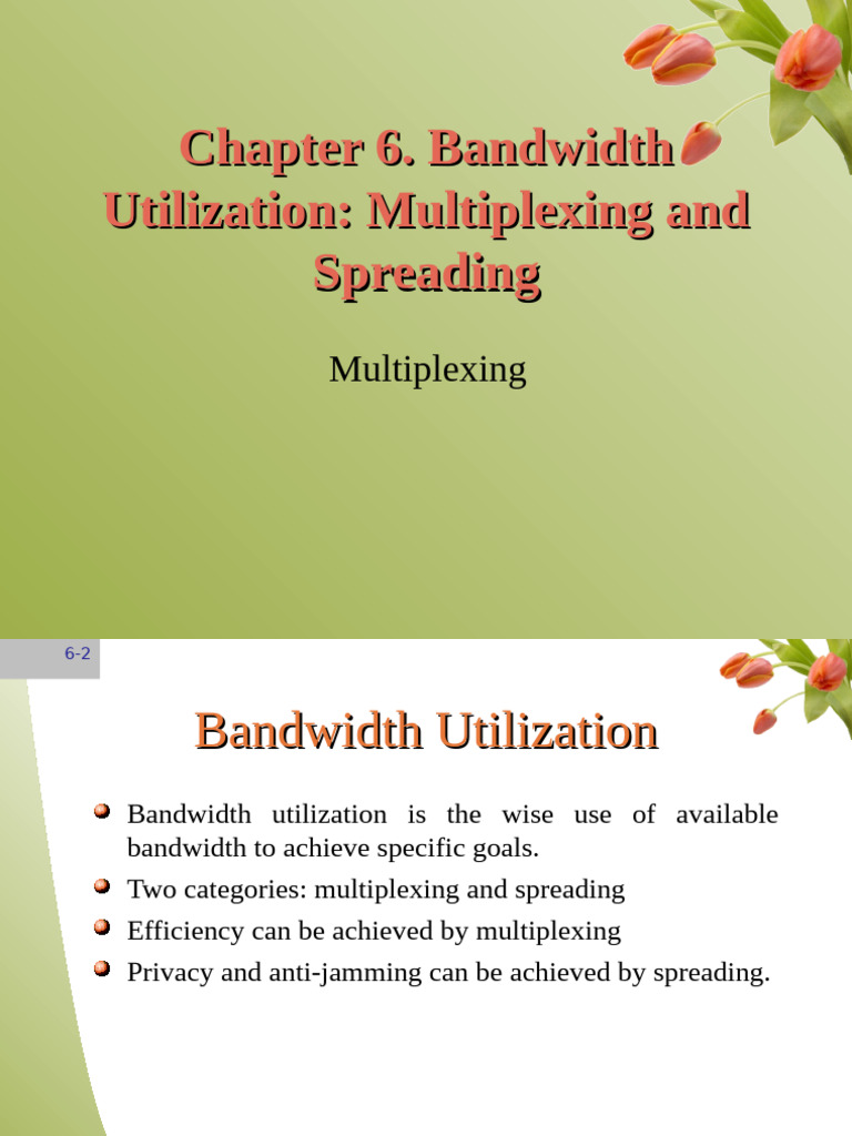 chap6 | PDF | Multiplexing | Wavelength Division Multiplexing
