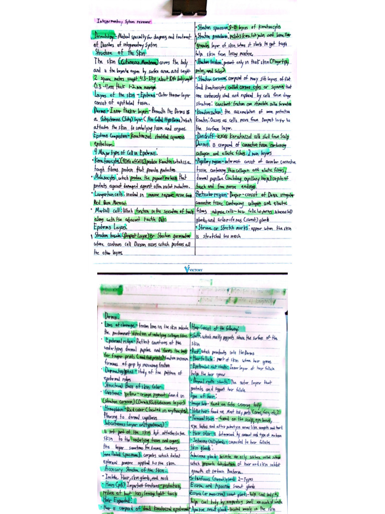 Integ Notes | PDF