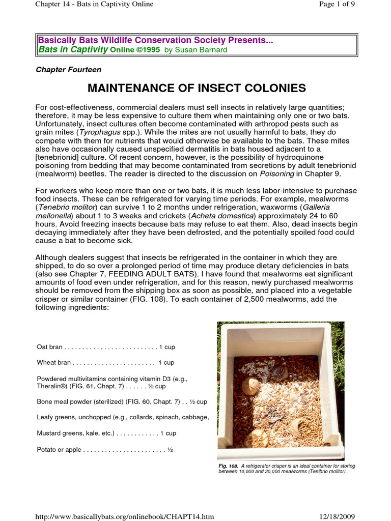 Maintenance of Insect Colonies | PDF