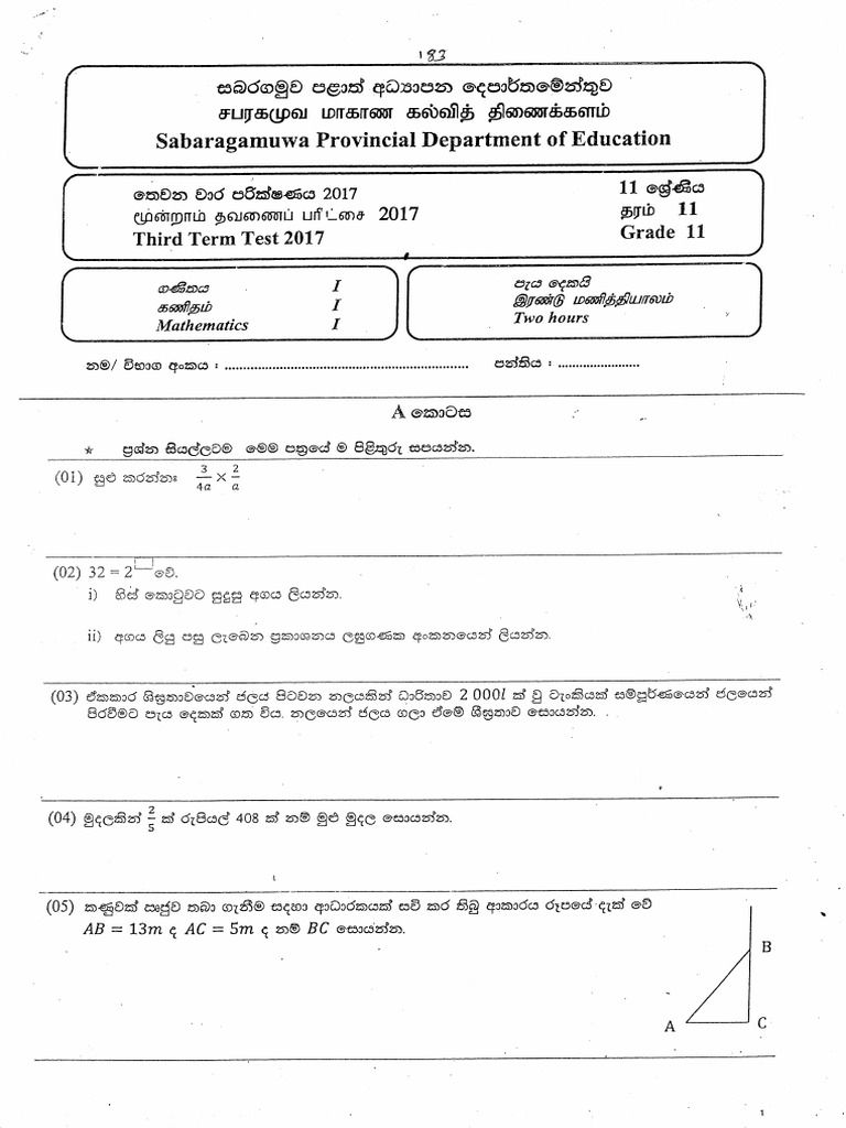 Grade 11 Maths Term Test Papers 2017 | PDF