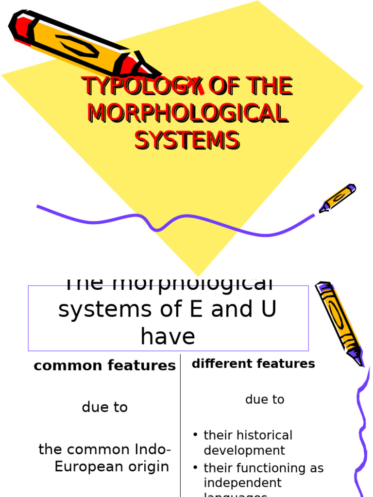 Morphological Systems: E and U Comparison | PDF | Grammatical Gender | Word
