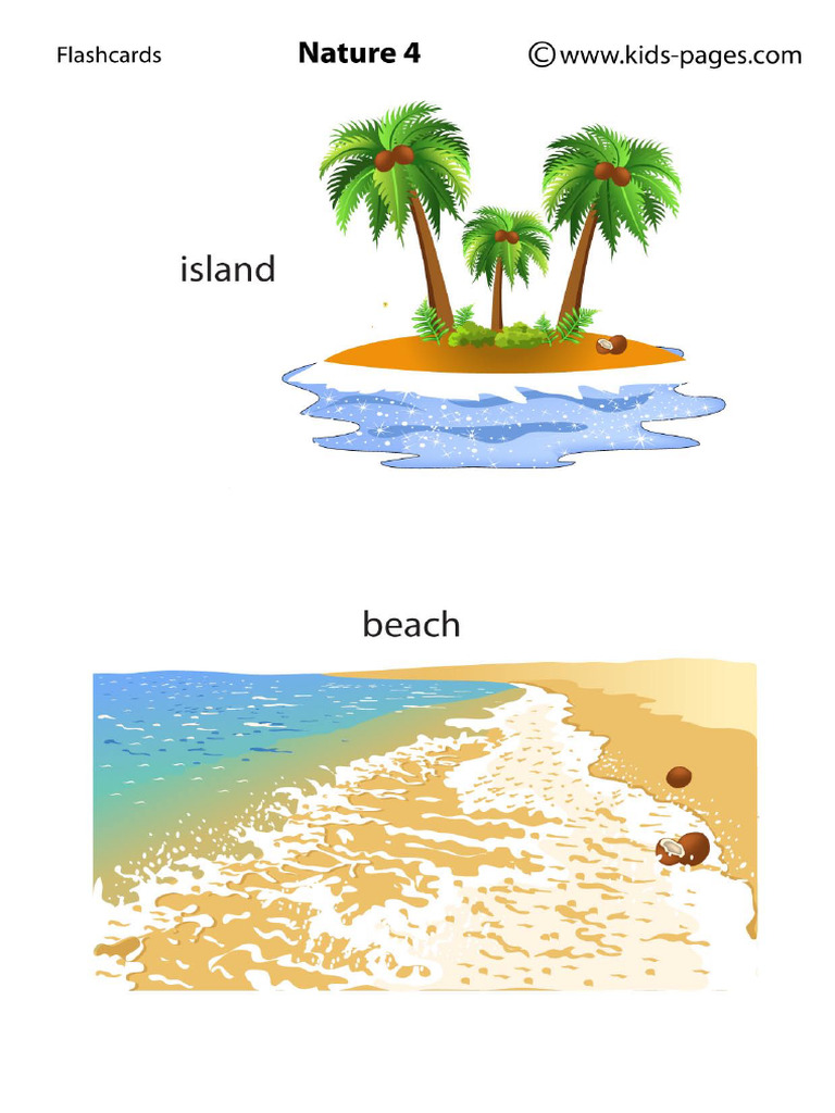 Nature 4 Medium | PDF