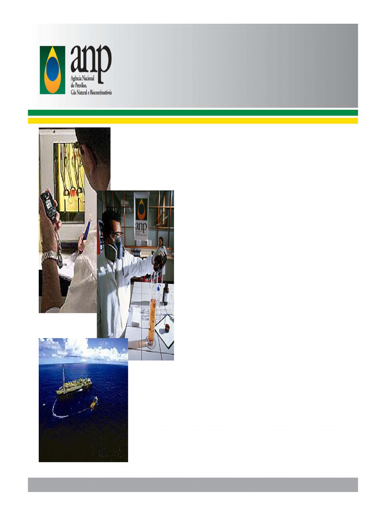 ANP's Role in Brazil's Energy Innovation | PDF | Research And ...