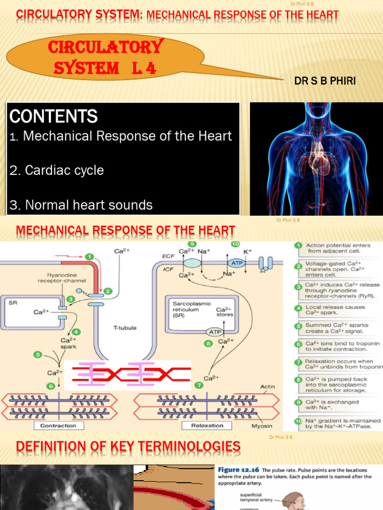 Heart's Mechanical Response Guide | PDF | Heart Valve | Ventricle (Heart)