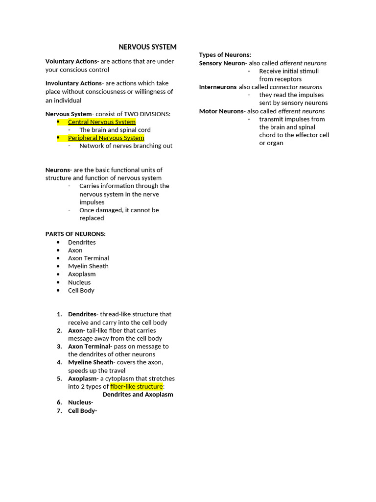 Overview of the Nervous System Functions | PDF