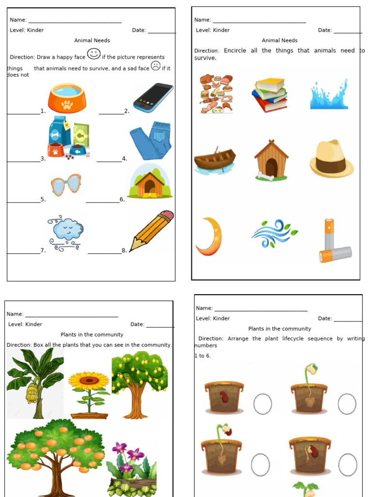 Kinder 3RD and 4TH WK Activities | PDF