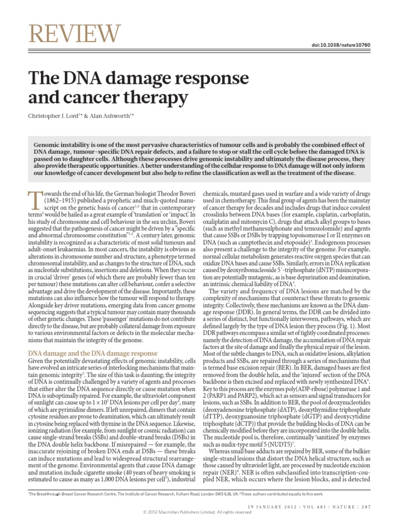 DNA Damage Response - Nature | PDF | Dna Repair | Telomere