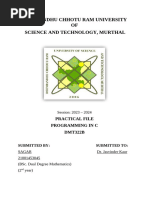 PDF Document