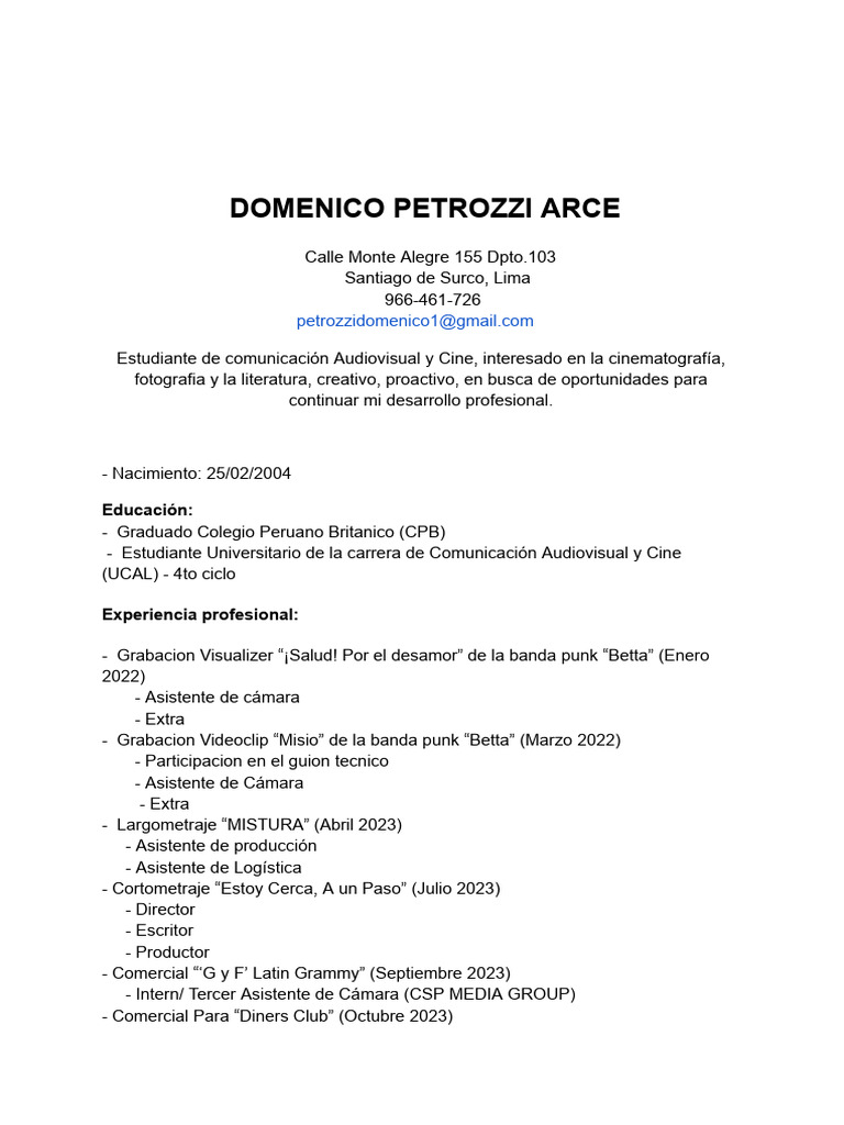 curriculum domenico | PDF