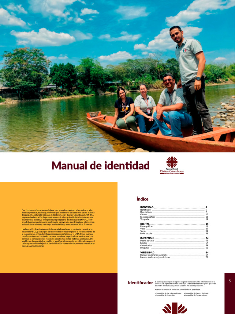 Manual de Identidad SNPS-CC | PDF