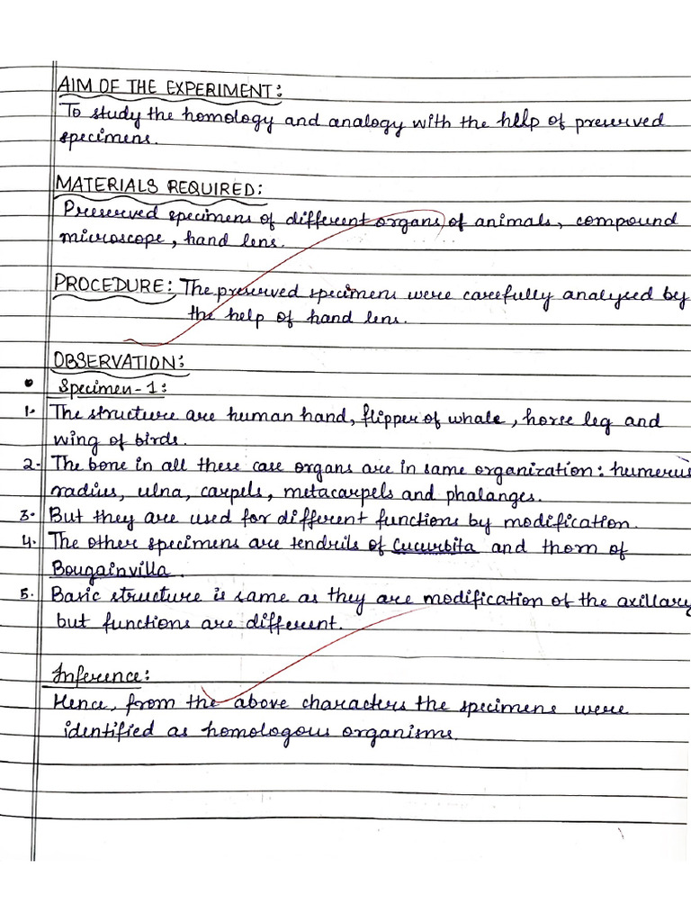 Exp 11 | PDF