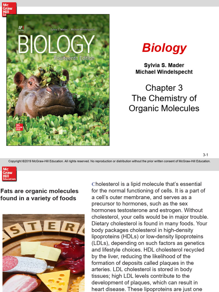 Chapter 3 Chemistry of Organic Molecules | PDF | Carbohydrates | Lipid