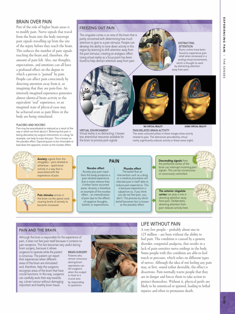 Dokumen - Pub The Brain Book An Illustrated Guide To Its Structure ...