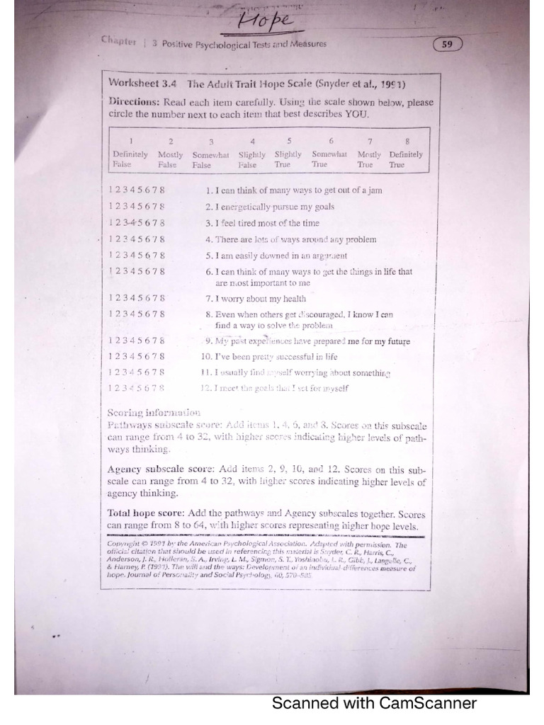 Hope Questionnaires | PDF