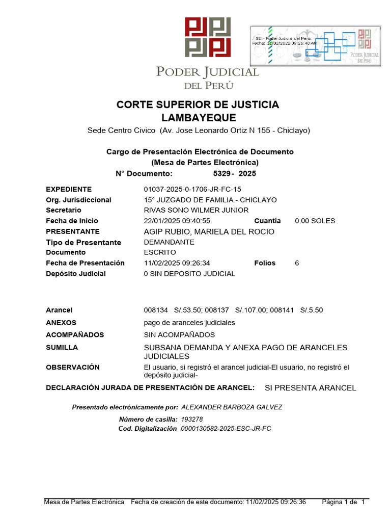 5329 2025 pdf