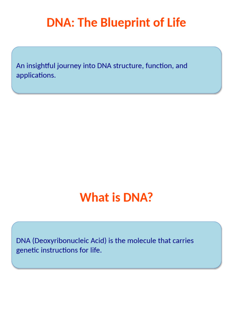 Understanding DNA: Structure and Functions | PDF