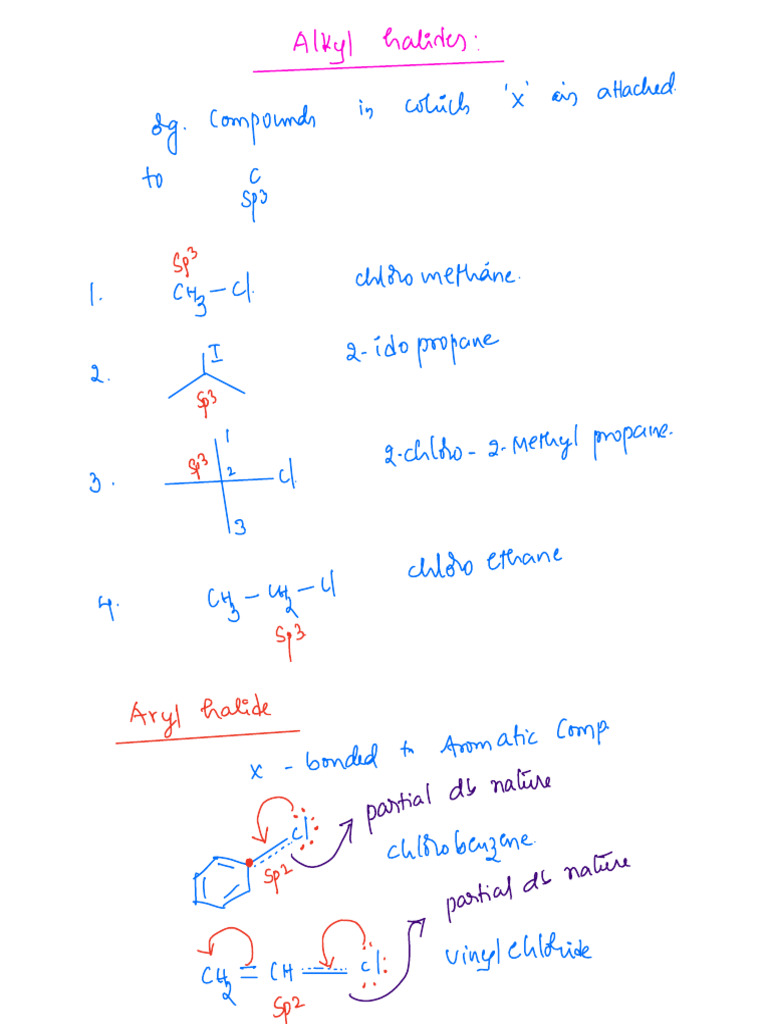 Alkyl Halides 2024-25 | PDF