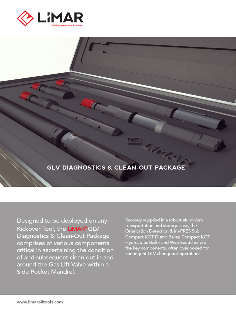 GLV Diagnostics & Clean-Out Package | PDF | Mechanical Engineering ...