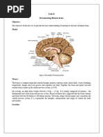 Human Brain Parts and Functions Guide | PDF