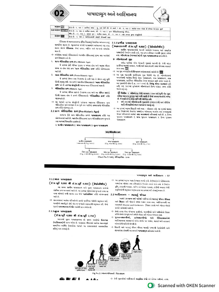 55 | PDF