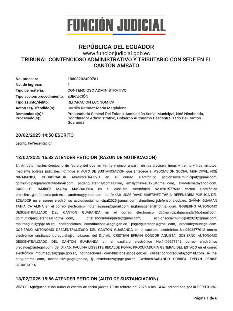 Expel 18803202400781 27051458 21022025 | PDF | Testigo experto ...