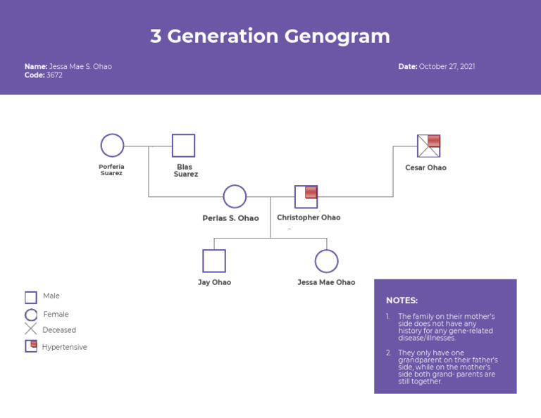 3-Generation Family Genogram Analysis | PDF