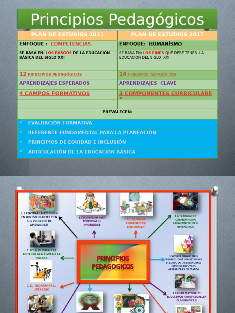 Principios Pedagógicos | PDF