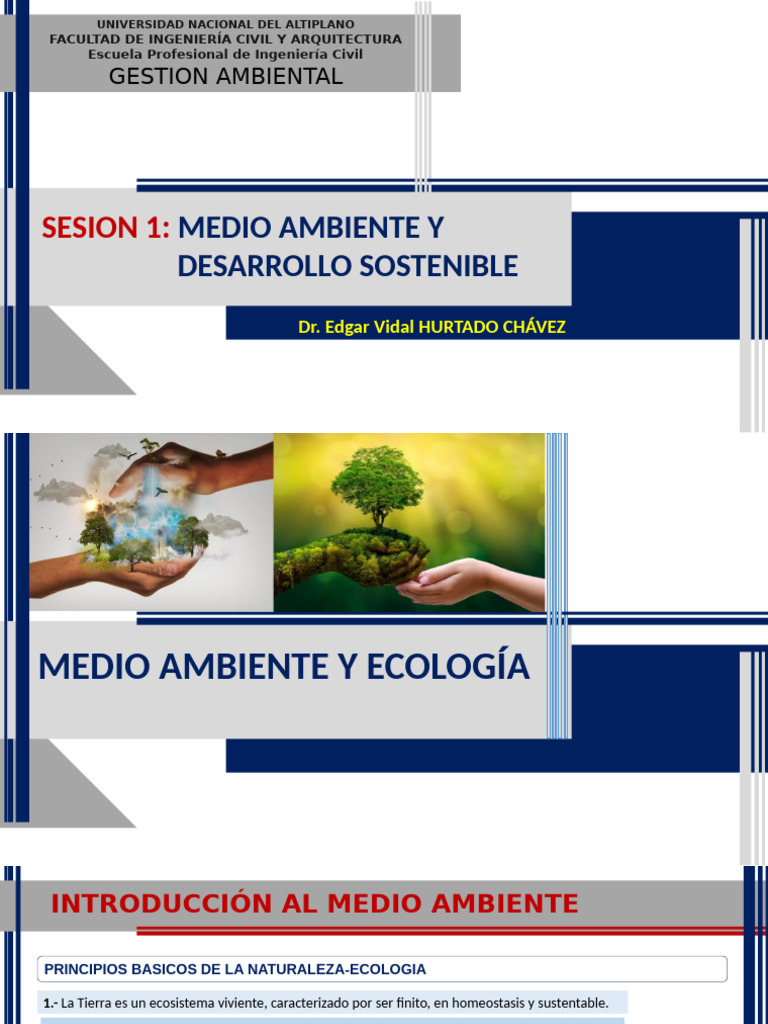 Medio Ambiente y Desarrollo Sostenible | PDF | Ecología | Entorno natural