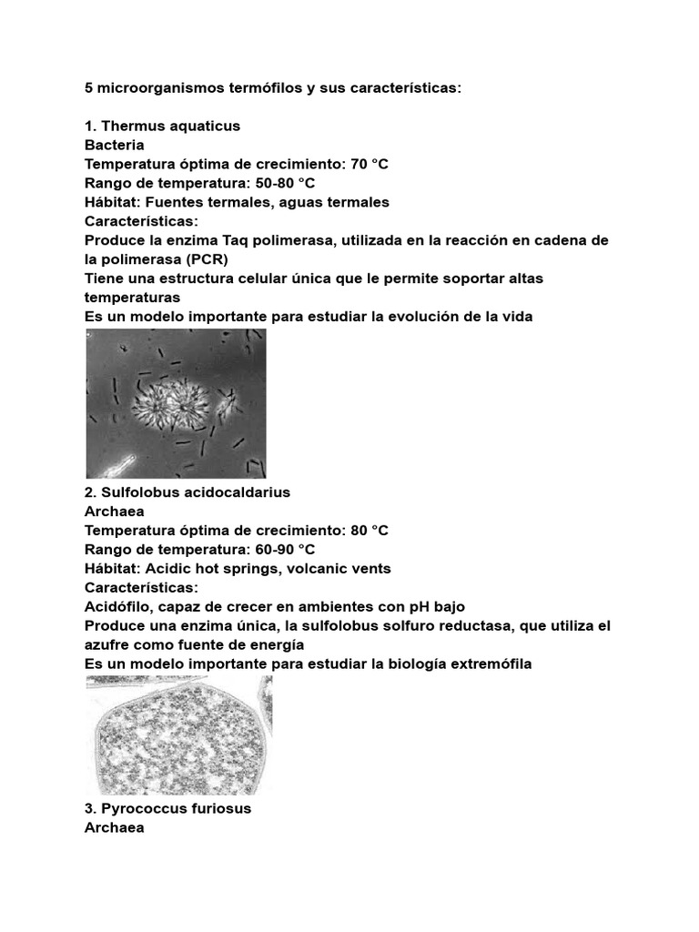 Microorganismos Termófilos y Ejemplos | PDF | Las bacterias | Archaea