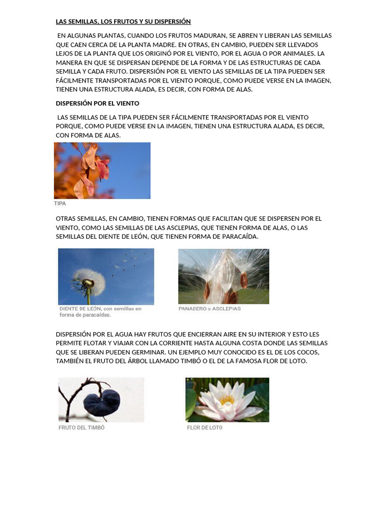 Dispersion de Semillas 2 | PDF, image size:768x1024