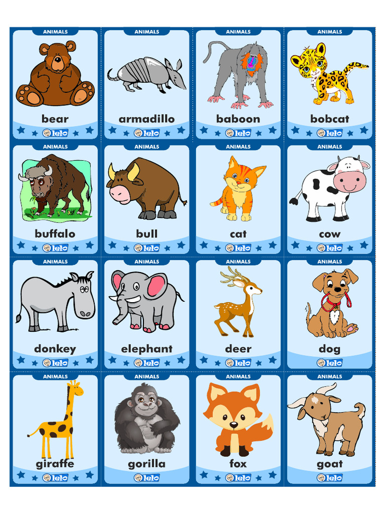 Flashcards English | PDF