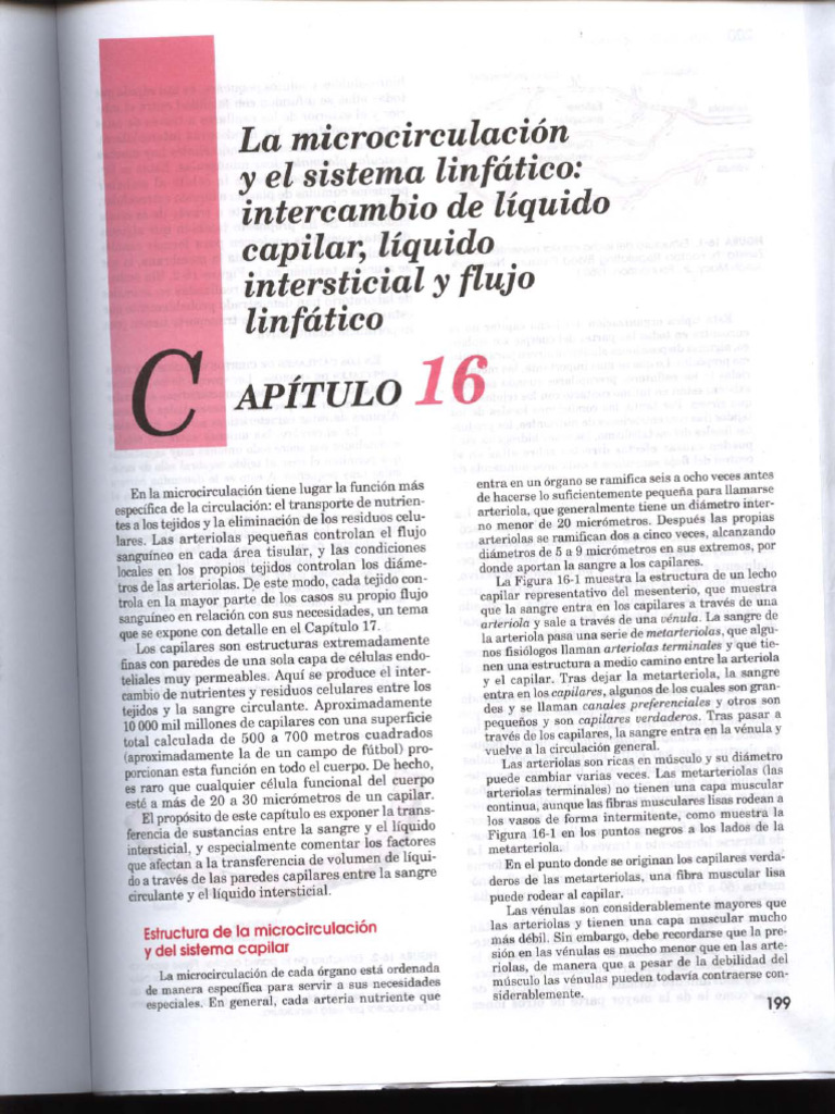 Capítulo 16-3 | PDF