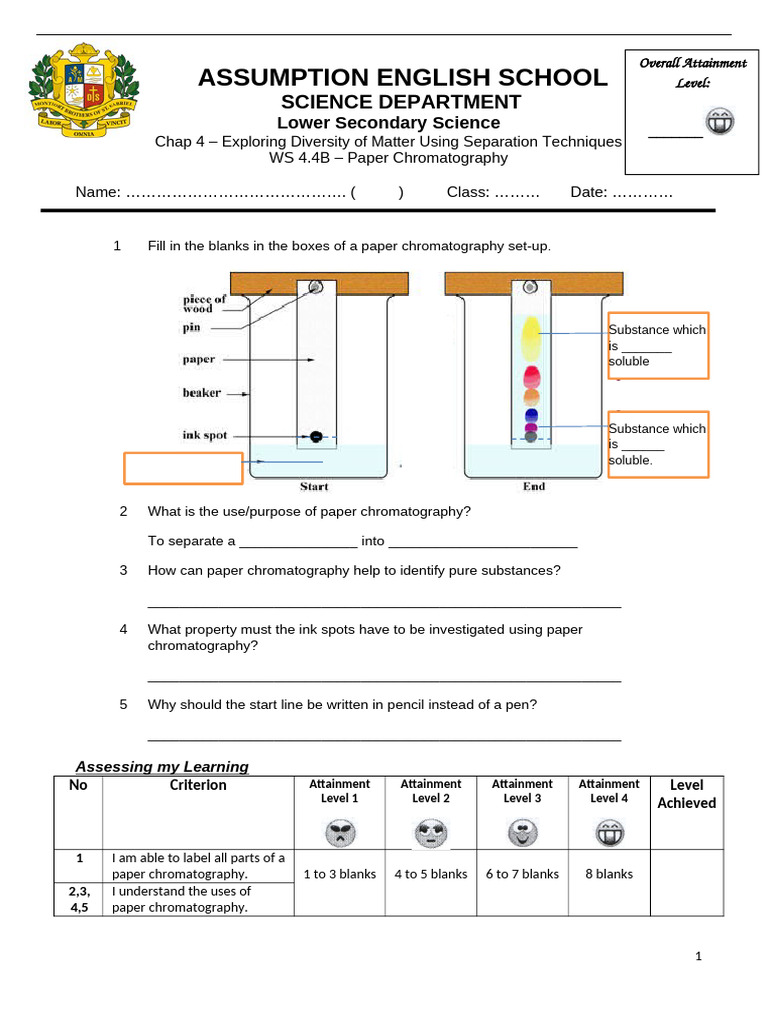 Paper Chromatography Setup Guide | PDF | Chromatography | Laboratories