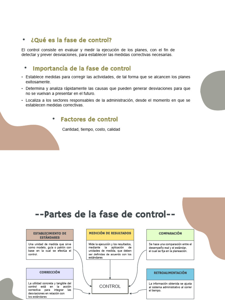 Fase de Control | PDF