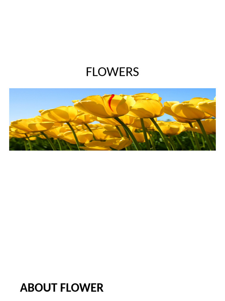 FLOWERS | PDF