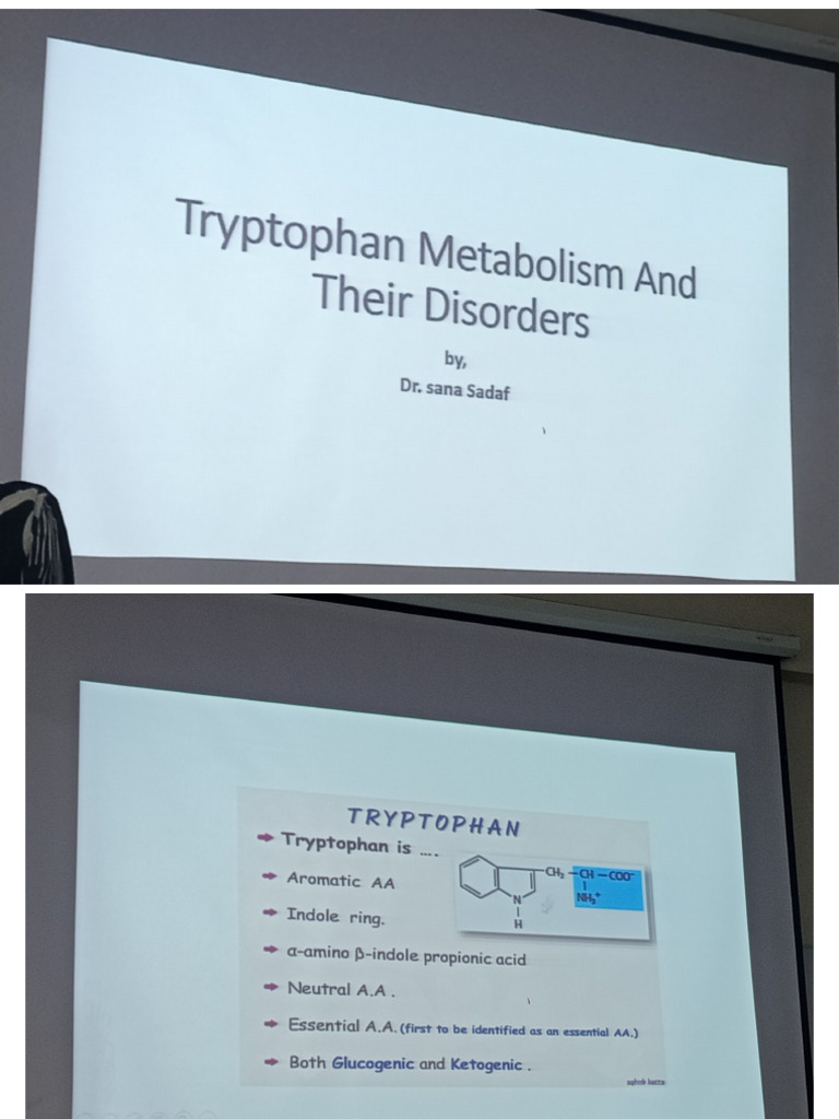 Metabolism of Tryptophan Dr Sana | PDF
