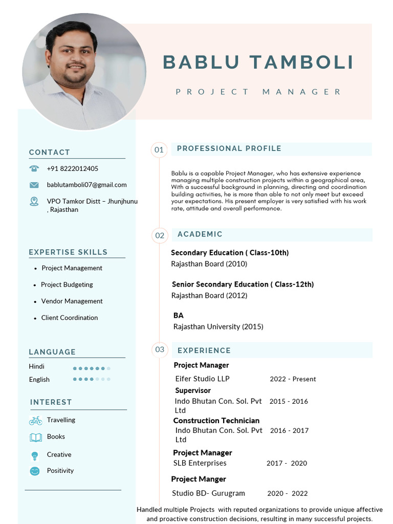 Experienced Project Manager Profile | PDF