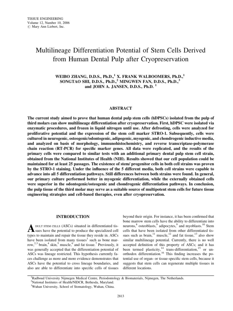 Cryopreserved Dental Pulp Stem Cells | PDF | Stem Cell | Cellular ...