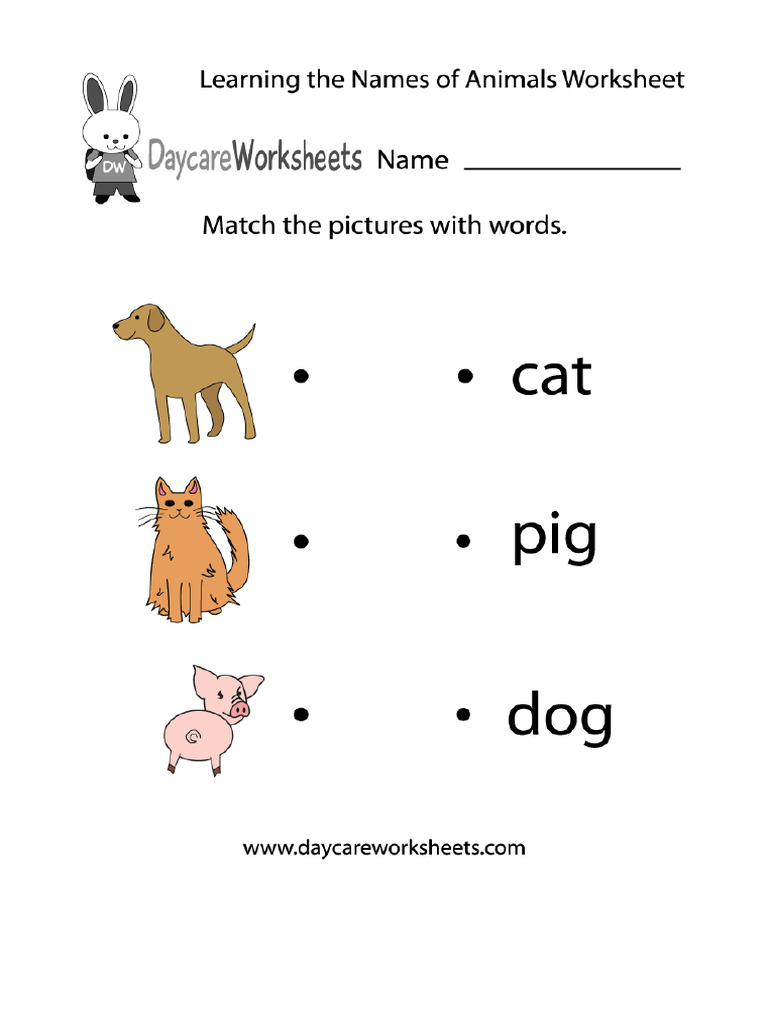Animal Worksheet | PDF