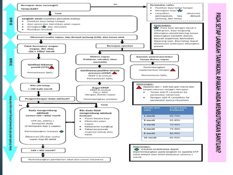 Alur RESUSITASI NEONATUS | PDF
