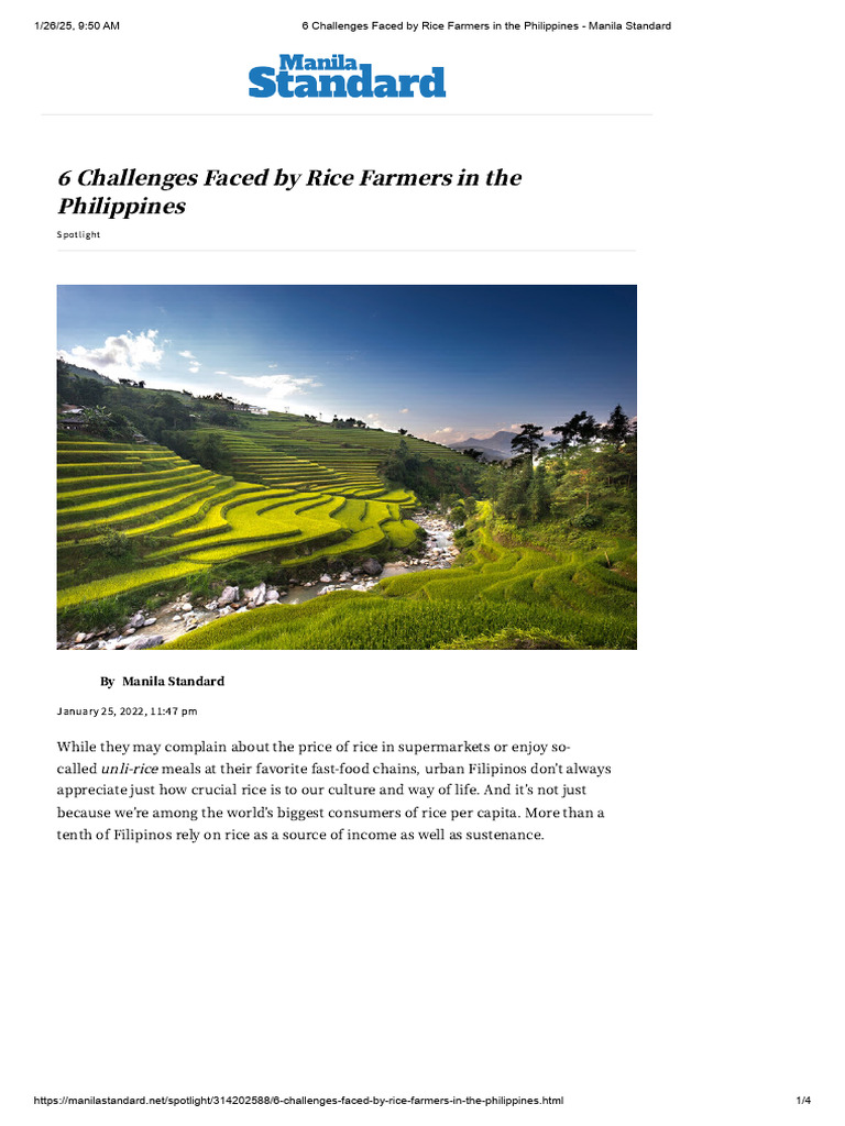 Challenges for Filipino Rice Farmers | PDF | Agriculture | Rice