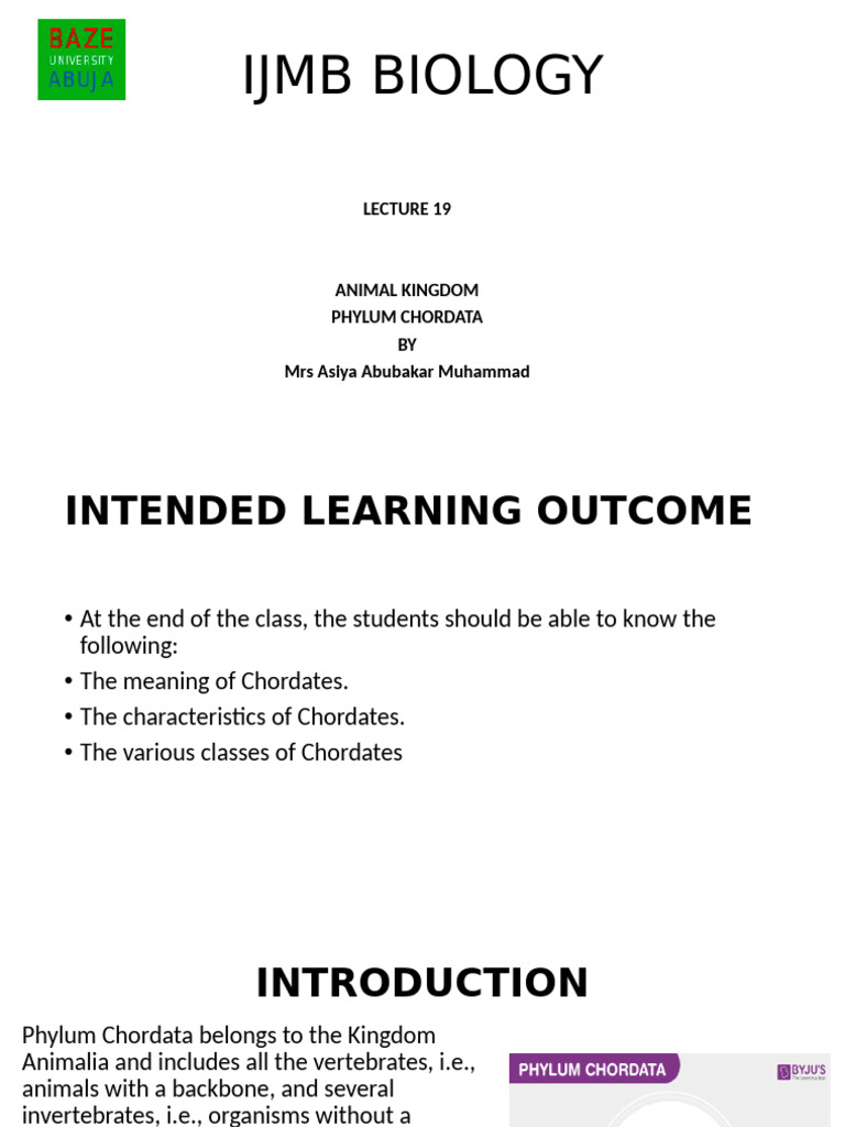 l17 Animal Kingdom & Phylum Chordata | PDF | Vertebrates | Chordates